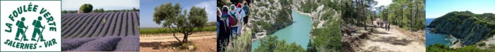 La Foulée Verte Salernes